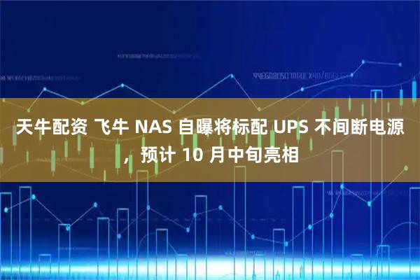 天牛配资 飞牛 NAS 自曝将标配 UPS 不间断电源，预计 10 月中旬亮相