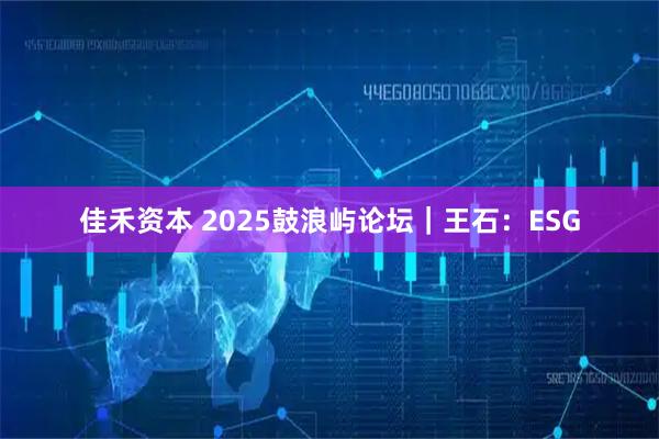 佳禾资本 2025鼓浪屿论坛｜王石：ESG