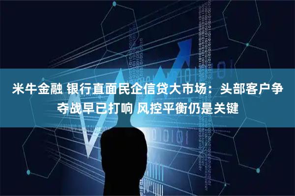 米牛金融 银行直面民企信贷大市场：头部客户争夺战早已打响 风控平衡仍是关键