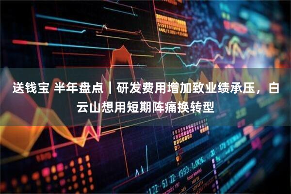 送钱宝 半年盘点｜研发费用增加致业绩承压，白云山想用短期阵痛换转型